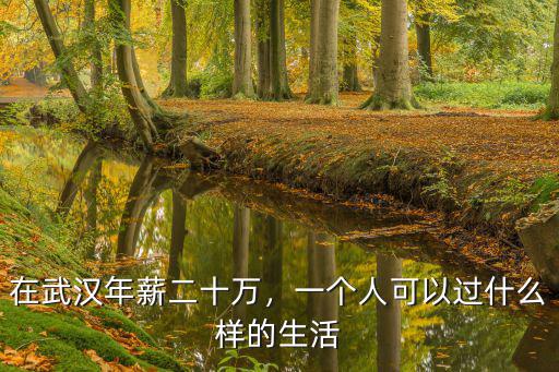 在武漢年薪二十萬(wàn)，一個(gè)人可以過什么樣的生活