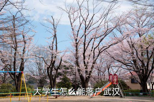 大學(xué)生怎么能落戶武漢