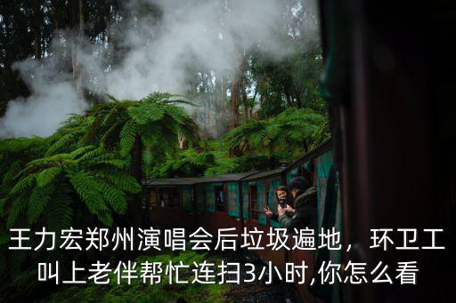 王力宏鄭州演唱會后垃圾遍地，環(huán)衛(wèi)工叫上老伴幫忙連掃3小時,你怎么看