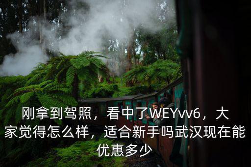 剛拿到駕照，看中了WEYvv6，大家覺得怎么樣，適合新手嗎武漢現在能優惠多少