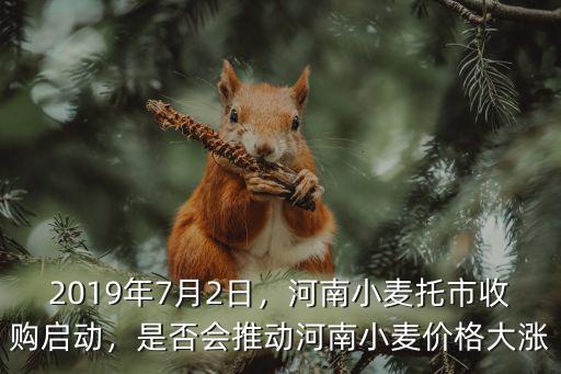 2019年7月2日，河南小麥托市收購啟動，是否會推動河南小麥價格大漲