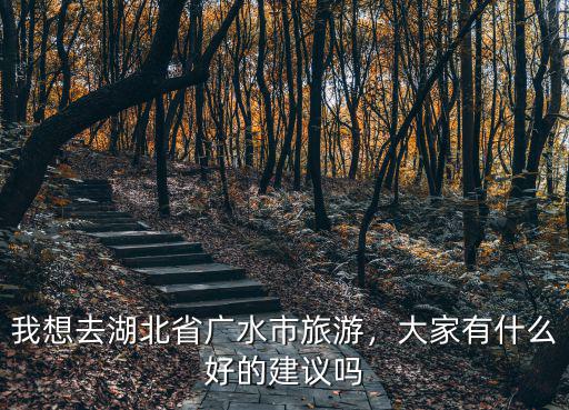 我想去湖北省廣水市旅游，大家有什么好的建議嗎