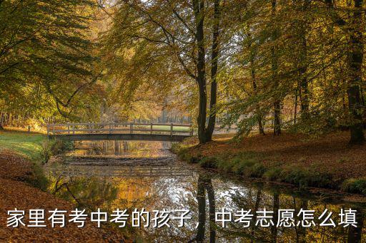 孝感中考填志愿是怎么填的,中考志愿怎么填