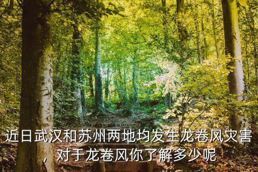 怎么武漢還有龍卷風,武漢龍卷風已致8人遇難