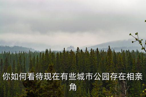 你如何看待現(xiàn)在有些城市公園存在相親角