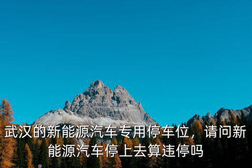 武漢的新能源汽車專用停車位，請問新能源汽車停上去算違停嗎