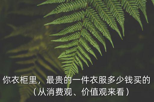 你衣柜里，最貴的一件衣服多少錢(qián)買(mǎi)的（從消費(fèi)觀、價(jià)值觀來(lái)看）