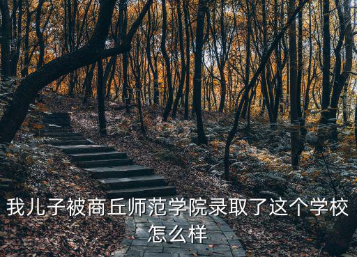 我兒子被商丘師范學院錄取了這個學校怎么樣
