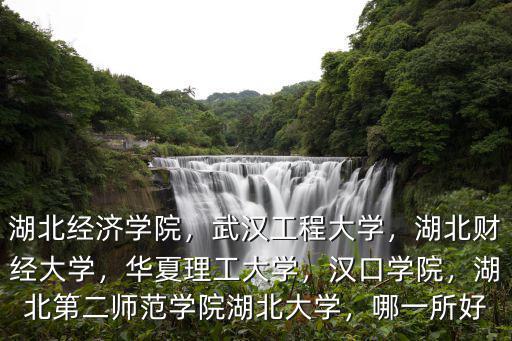 湖北經濟學院，武漢工程大學，湖北財經大學，華夏理工大學，漢口學院，湖北第二師范學院湖北大學，哪一所好