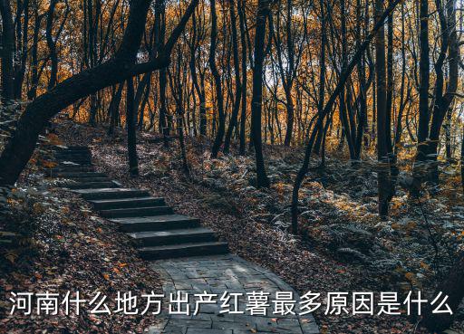 河南什么地方出產紅薯最多原因是什么