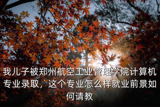 我兒子被鄭州航空工業管理學院計算機專業錄取，這個專業怎么樣就業前景如何請教