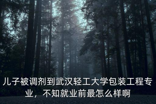 兒子被調劑到武漢輕工大學包裝工程專業，不知就業前最怎么樣啊