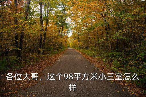 各位大哥，這個98平方米小三室怎么樣
