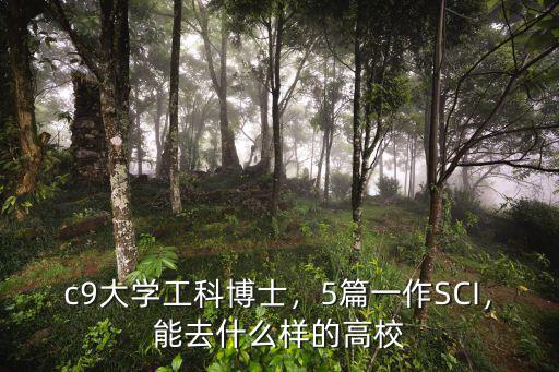 c9大學工科博士，5篇一作SCI，能去什么樣的高校