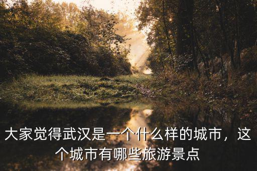 武漢這是怎么樣的城市,武漢這個城市怎么樣