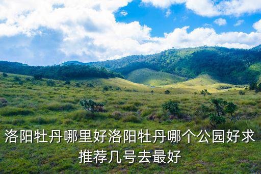洛陽(yáng)牡丹哪里好洛陽(yáng)牡丹哪個(gè)公園好求推薦幾號(hào)去最好