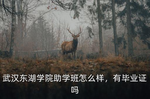 武漢東湖學院助學班怎么樣，有畢業證嗎
