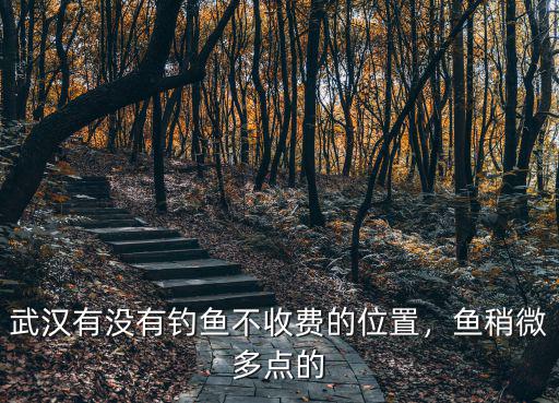 武漢有沒有釣魚不收費的位置，魚稍微多點的