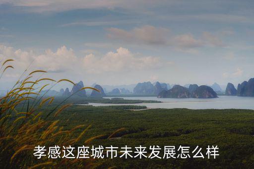 孝感怎么經濟發展起來了,孝感為什么要向東發展