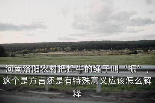 河南洛陽農村把拴牛的繩子叫“振”，這個是方言還是有特殊意義應該怎么解釋