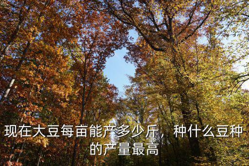 現(xiàn)在大豆每畝能產(chǎn)多少斤，種什么豆種的產(chǎn)量最高
