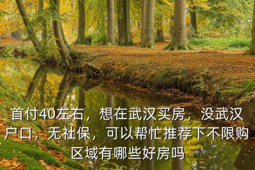 首付40左右，想在武漢買房，沒武漢戶口，無社保，可以幫忙推薦下不限購區域有哪些好房嗎