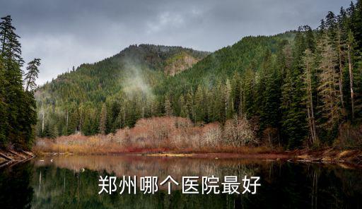 鄭州哪個醫院最好