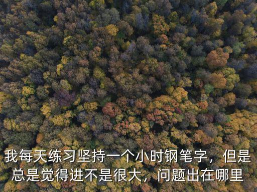 我每天練習(xí)堅持一個小時鋼筆字，但是總是覺得進(jìn)不是很大，問題出在哪里