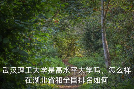 武漢理工大學是高水平大學嗎，怎么樣在湖北省和全國排名如何