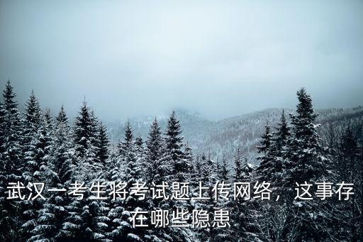 武漢一考生將考試題上傳網絡，這事存在哪些隱患