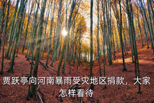 賈躍亭向河南暴雨受災(zāi)地區(qū)捐款，大家怎樣看待