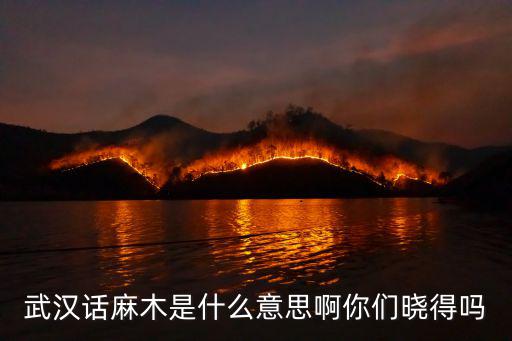 武漢話傻怎么說,武漢人究竟說的是什么話