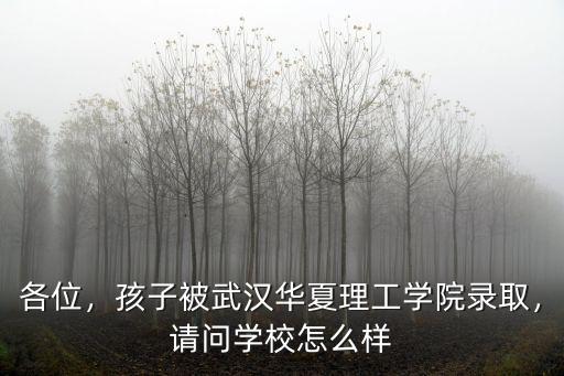 各位，孩子被武漢華夏理工學院錄取，請問學校怎么樣