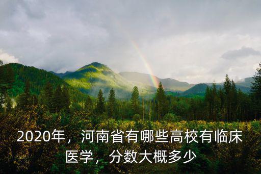 2020年，河南省有哪些高校有臨床醫學，分數大概多少
