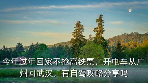 今年過年回家不搶高鐵票，開電車從廣州回武漢，有自駕攻略分享嗎