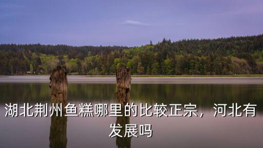 湖北荊州魚糕哪里的比較正宗，河北有發展嗎