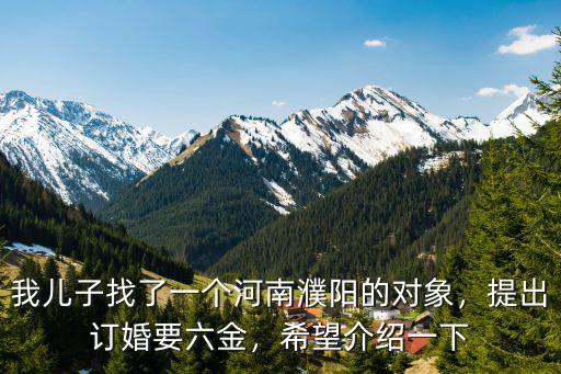 我兒子找了一個河南濮陽的對象，提出訂婚要六金，希望介紹一下