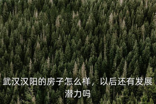 武漢漢陽的房子怎么樣，以后還有發展潛力嗎