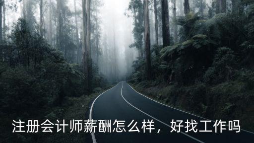 注冊會計師薪酬怎么樣，好找工作嗎