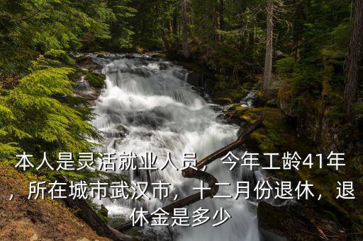 武漢市靈活就業(yè)人員怎么辦退休,本人是靈活就業(yè)人員