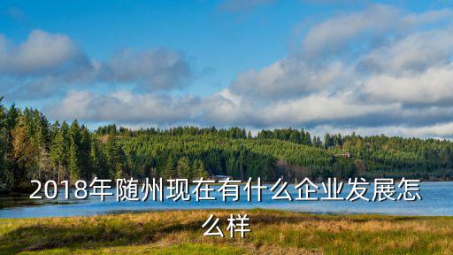 2018年隨州現(xiàn)在有什么企業(yè)發(fā)展怎么樣