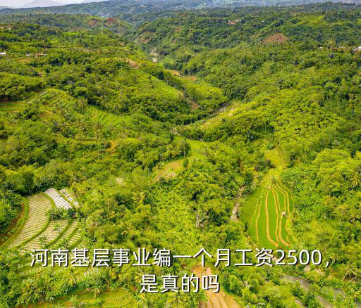 河南基層事業編一個月工資2500，是真的嗎