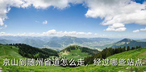 京山到隨州省道怎么走，經過哪些站點