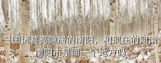 河南省南洋是哪里的,河南南陽是一個怎樣的城市