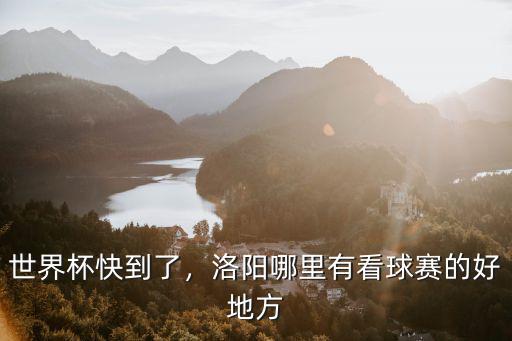 洛陽哪里有免單挑戰,洛陽母親節去哪里玩
