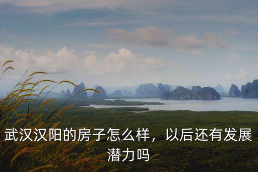 武漢漢陽鐘家村蘋果售后怎么樣,武漢漢陽的房子怎么樣