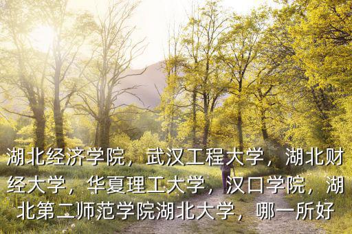 湖北經濟學院，武漢工程大學，湖北財經大學，華夏理工大學，漢口學院，湖北第二師范學院湖北大學，哪一所好