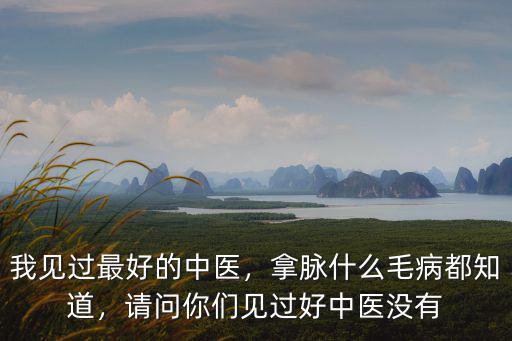 周口市哪里有把脈比較好的中醫(yī),中醫(yī)把脈的具體位置在哪