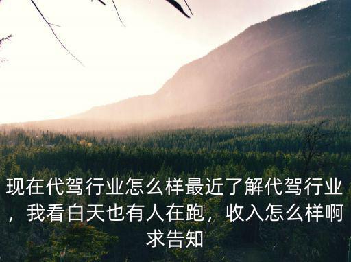 現(xiàn)在代駕行業(yè)怎么樣最近了解代駕行業(yè)，我看白天也有人在跑，收入怎么樣啊求告知