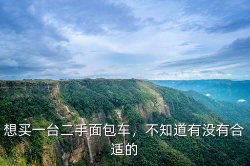 想買一臺二手面包車，不知道有沒有合適的